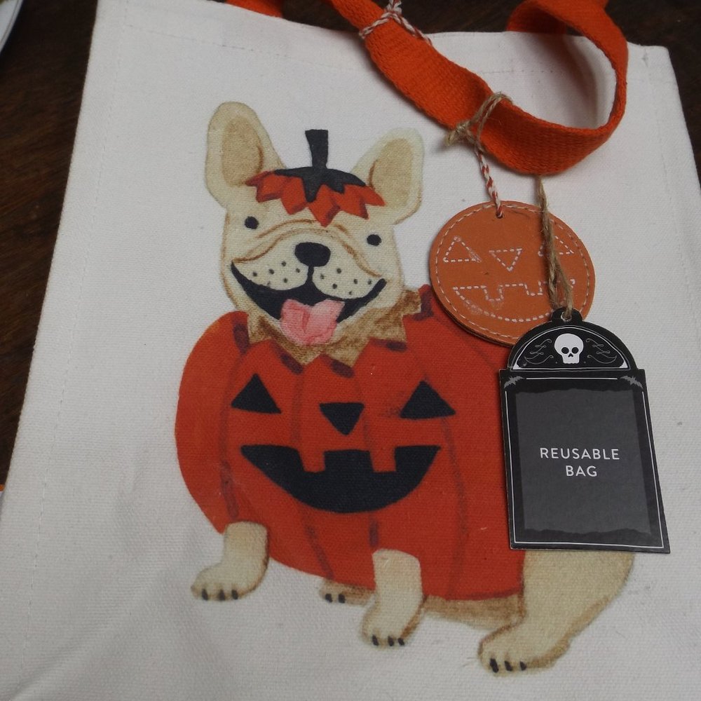 NWOT 13th and Elm Trick or Treat bag with Pug in a pumpkin